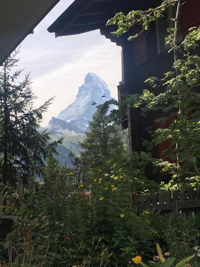 Mountain Apartments Zermatt Nr 6 Экстерьер фото